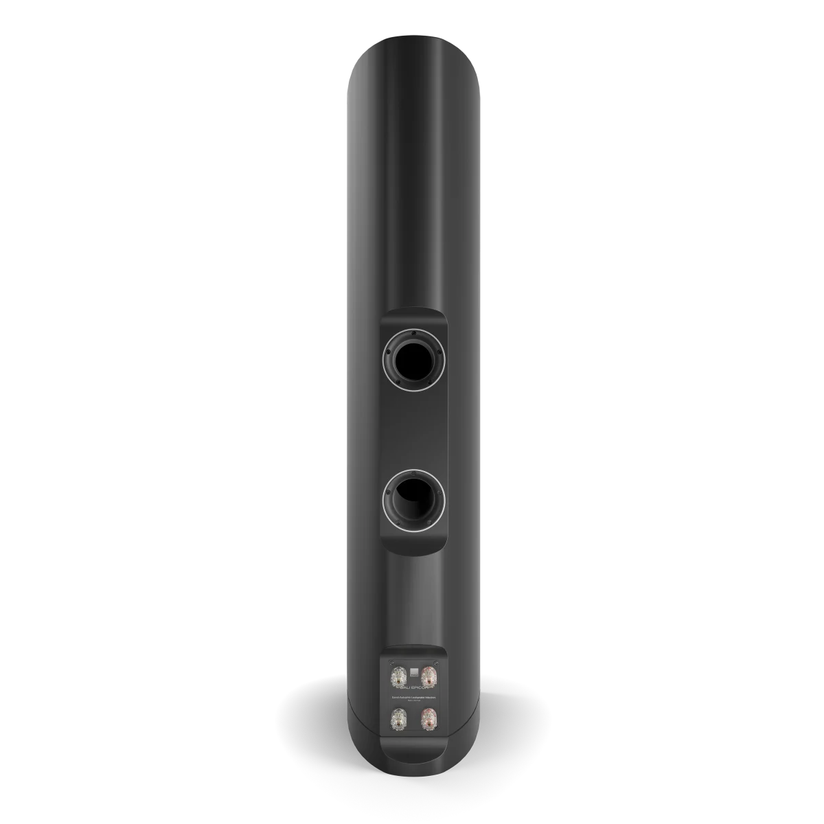 EPICON 8 | Captivate your senses | DALI Loudspeakers
